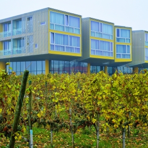 Hotel Kellerwelt Loisium